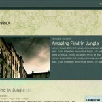 Intaglio Theme – Free Premium WordPress Themes From FlyThemes