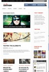 Daily Edition WordPress Theme From WooThemes