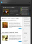 Elegant Themes Polished WordPress Theme Download