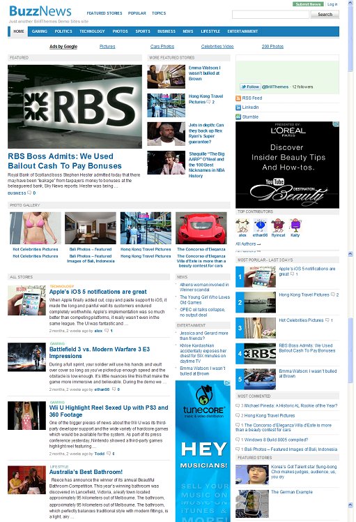 BrillThemes BuzzNews WordPress Magazine Theme