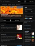 WP-Mysterious Solostream WordPress Theme For Personal Online Magazine