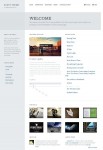 Avett Simple Portfolio WordPress Theme By Designer Themes