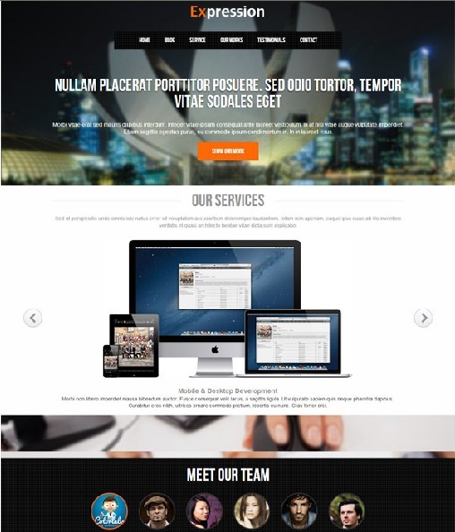 ColorLabs Expression WordPress Theme For Small Business