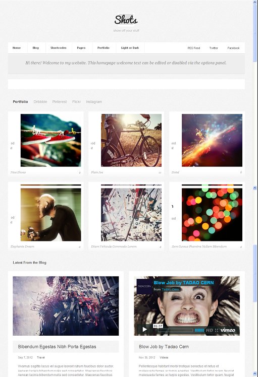 Designer Themes Shots, A Photo Portfolio WordPress Theme