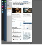WooTheme Antisocial Premium Personal WordPress Themes