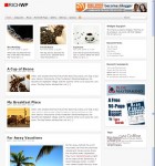 Daily News PRO v1.0 Theme Release By RichWP
