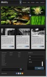 iPad User WordPress Theme : ThemeForest Mobility Theme