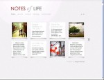 Elegant Themes Daily Notes WordPress Tumblr Style Theme