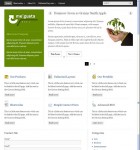 BizzThemes Me’gusta WordPress Theme For Corporate, Portfolios