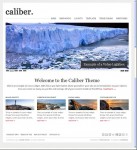 Caliber Organization Business WordPress Theme By Theme Weaver