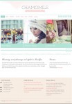 BluChic Chamomile WordPress Theme For Event / Wedding Planner
